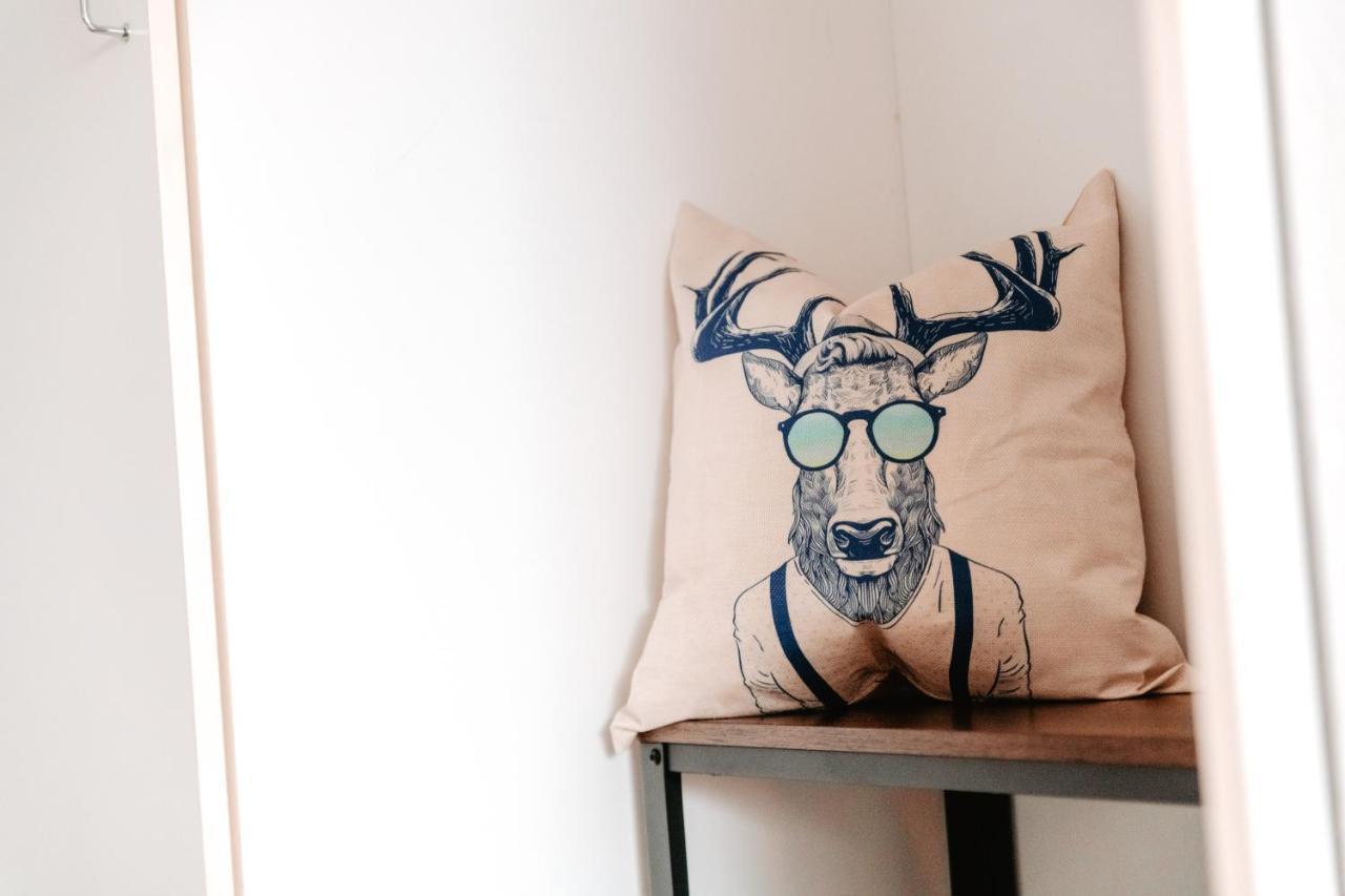 Cozystay - Gemuetliche Wohnung Im Oberharz Sankt Andreasberg Dış mekan fotoğraf